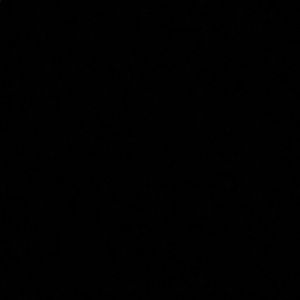 Meet your Posher, Rorie